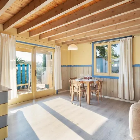 Sun-baked In With Swimming Pool Oliva